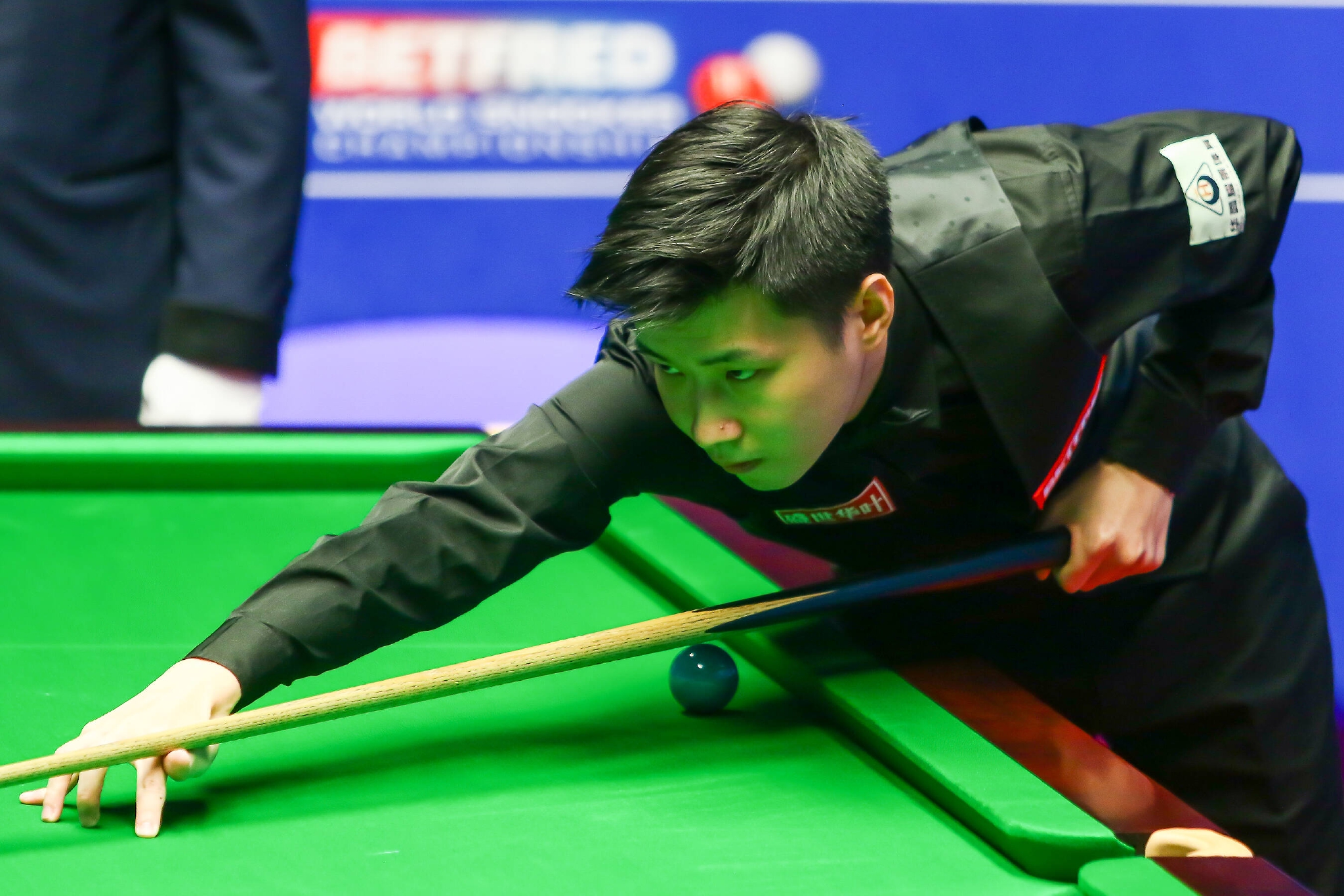 仅为他们的 仅为他们的