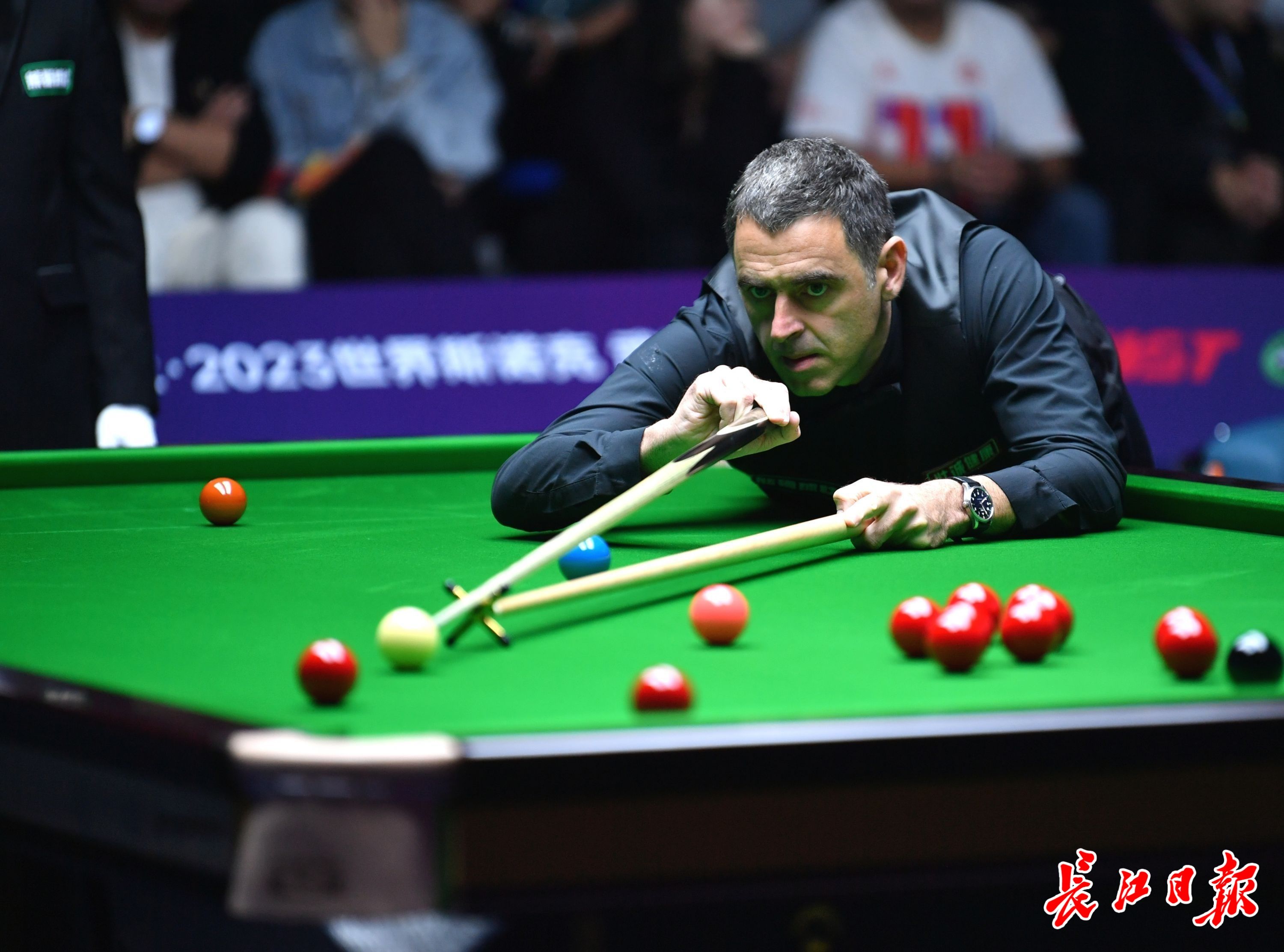 不只是为了 不只是为了