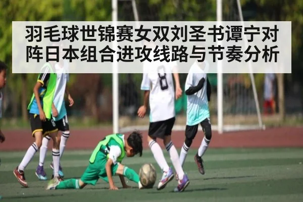 羽毛球世锦赛女双刘圣书谭宁对阵日本组合进攻线路与节奏分析